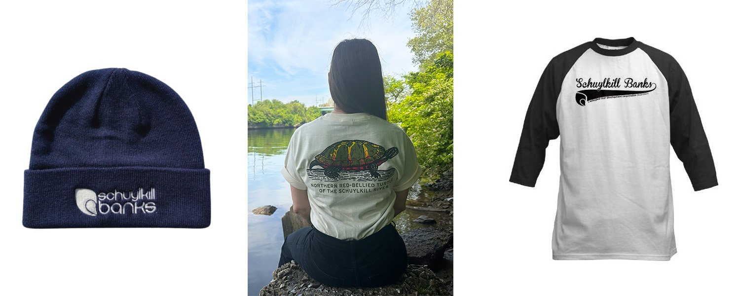 Images of the navy cap, turtle t-shirt, and baseball t-shirt