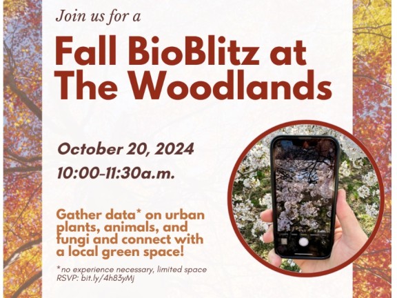 Fall BioBlitz