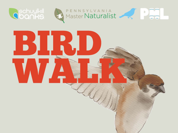 Bird Walk