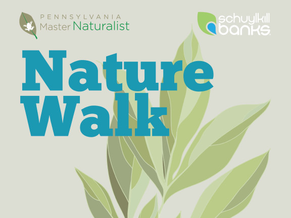 Spring Nature Walk