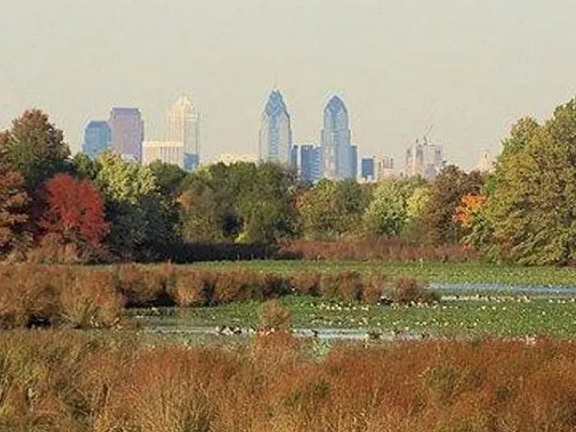 Image of wetlands with the Philadelphia skyline in the background