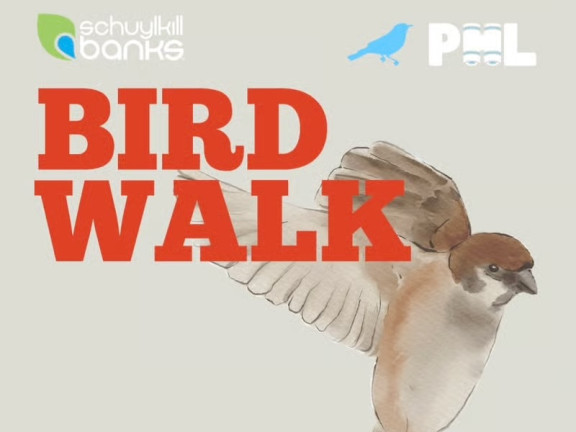 Illustration of a bird with text saying Bid Walk, as well as logos for Schuylkill Banks and Bird Philly