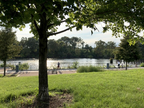 Tidal Schuylkill River