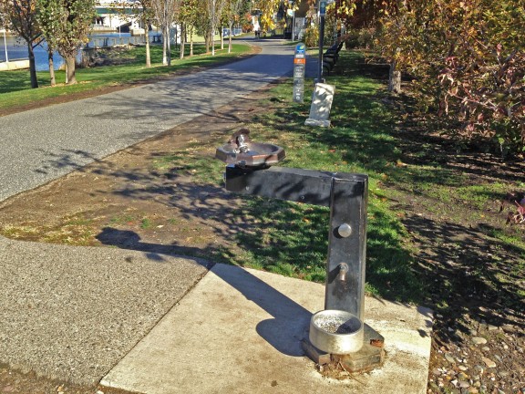 Water Fountain