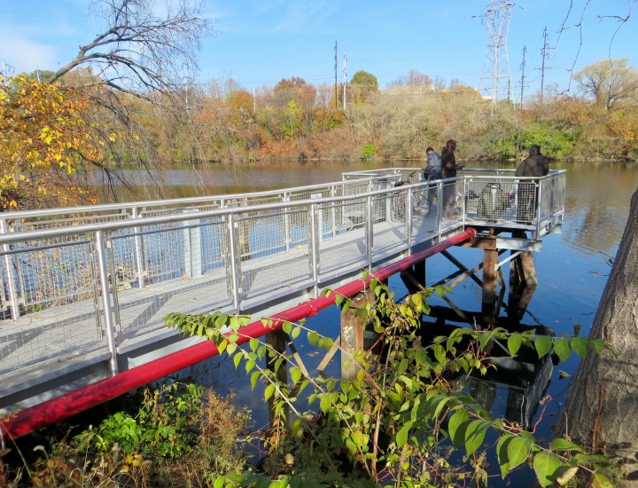 Grays Ferry Crescent Pier