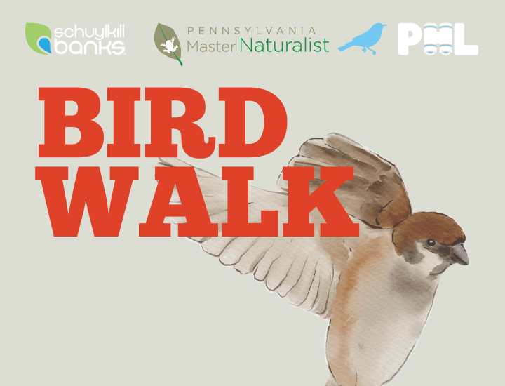 Bird Walk