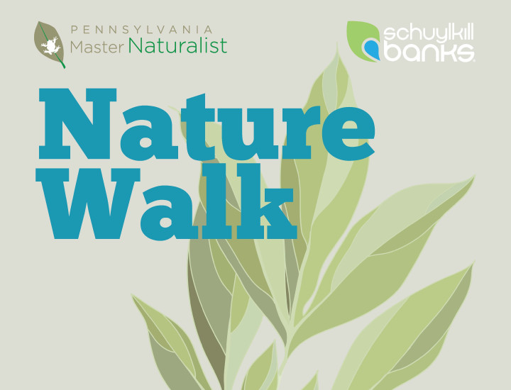 Spring Nature Walk