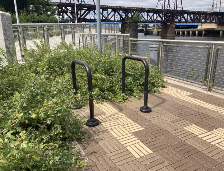 Two simple black bike racks implantde in brick, with greenery and bridges behind them.