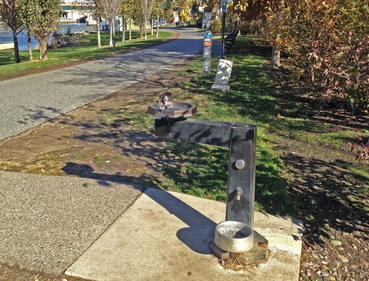 Water Fountain
